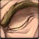 Perception icon
